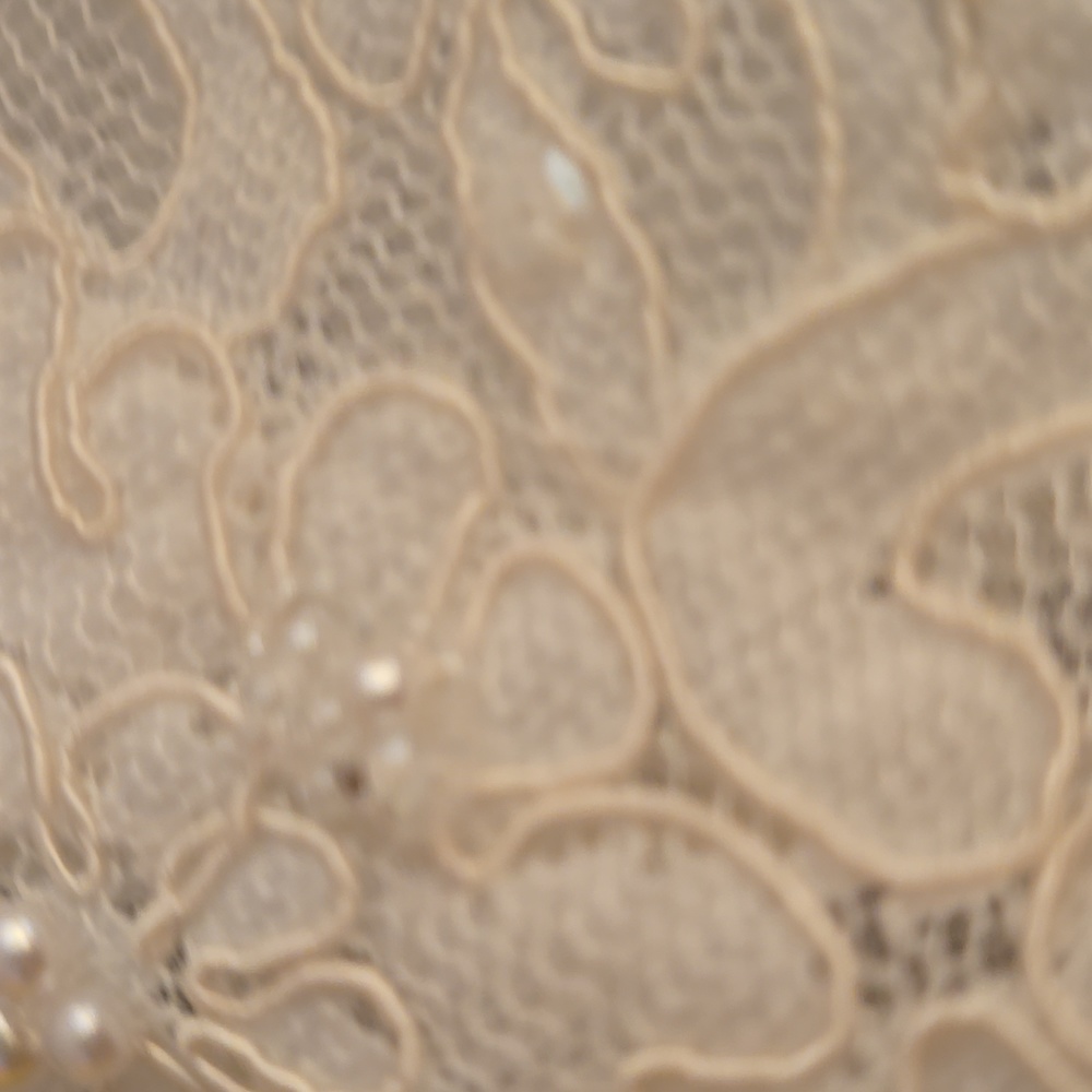 David's Bridal wedding gown with crop jacket!!  Dress is a size 6 jacket a small - Picture 3 of 14